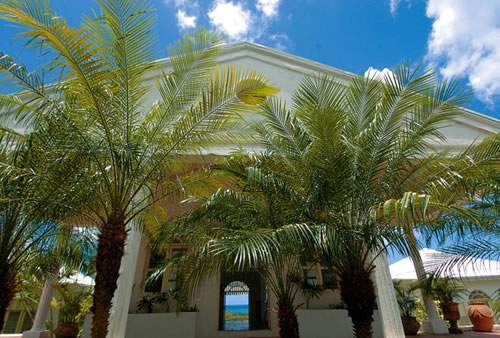 4335_v_mille_fleurs_5